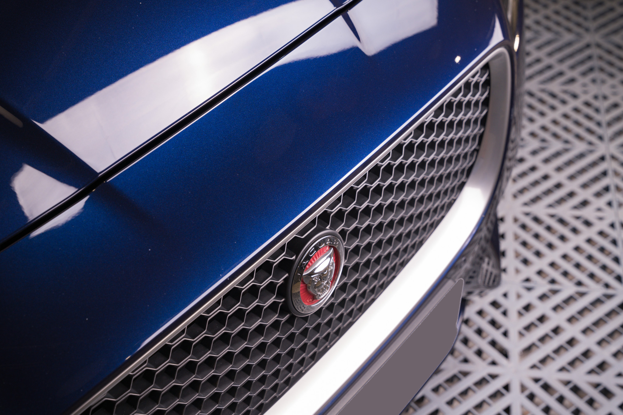 Jaguar XF 鍍膜 施工作品