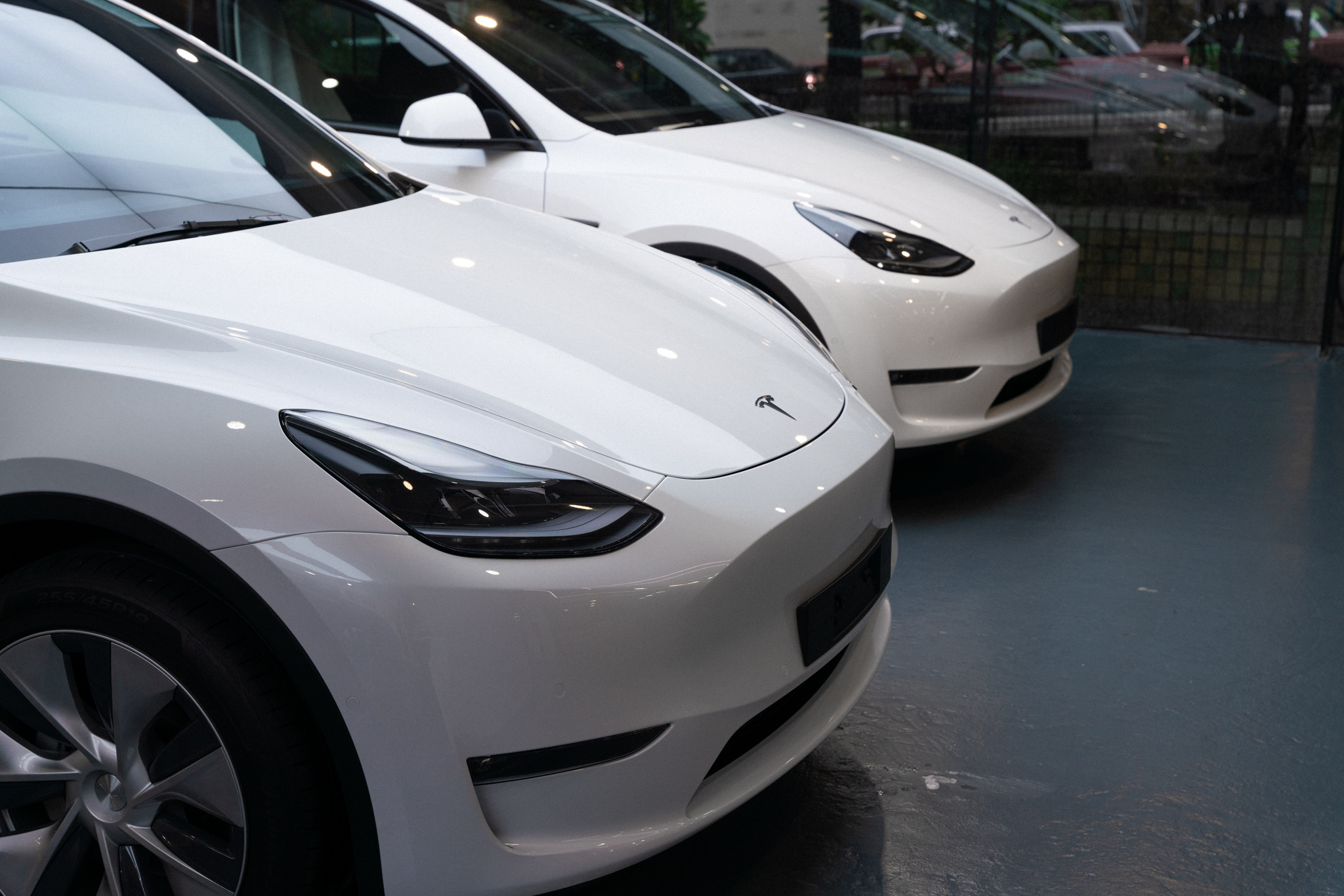 Tesla Model Y 珍珠白 透明 PPF 施工作品