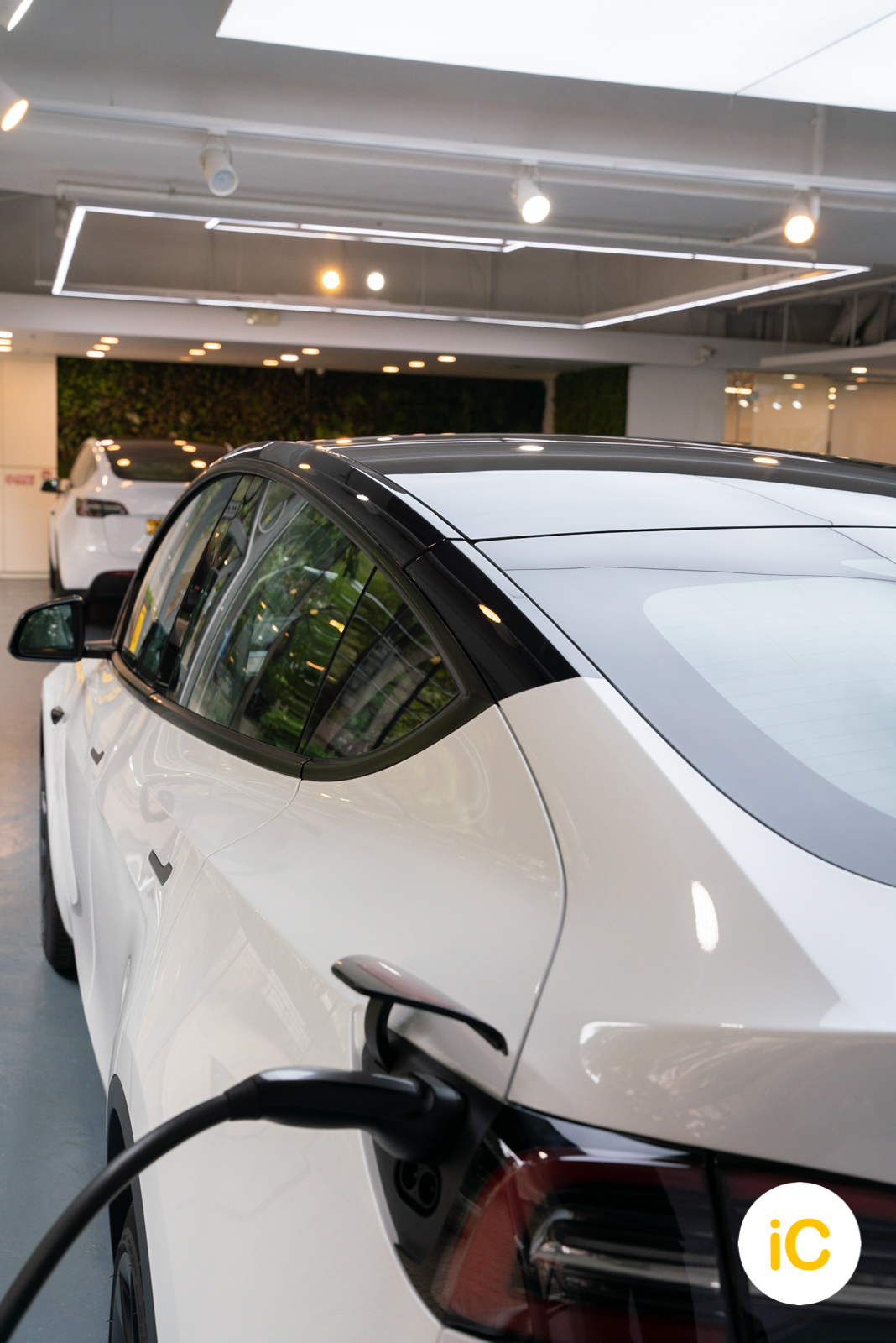 Tesla Model Y 透明 PPF 施工作品