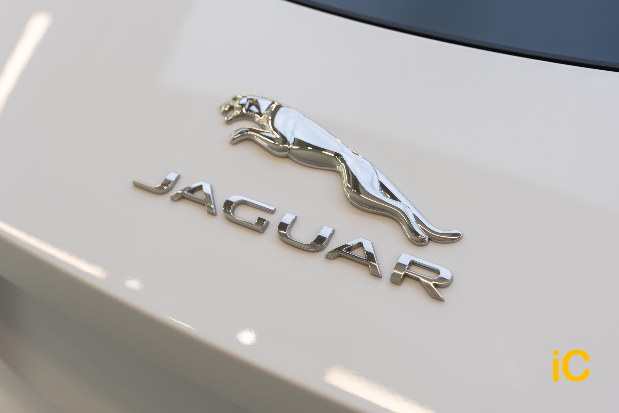 Jaguar F-Type 透明 PPF 施工作品